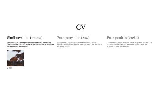 CV Poulain