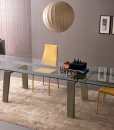 Our collection of extendable glass dining tables frees up visual space with a see-through design in order to make the rest of the room's furnishings show through.
