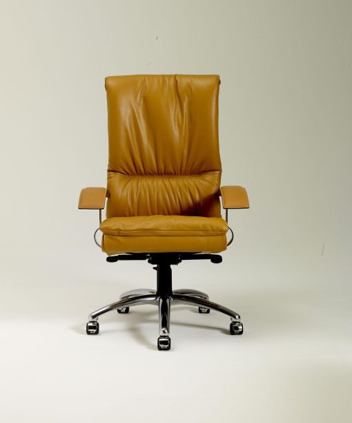 Executive leather office armchair back support ergonomics high leather modern online office xl furniture stores shops design delivery sale manufacturers quality retailers